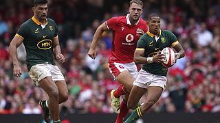 Rugby world cup 2023: Springboks ruthless against Scotland