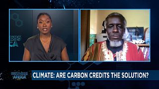 Climate: Are carbon credits the solution? [Business Africa]