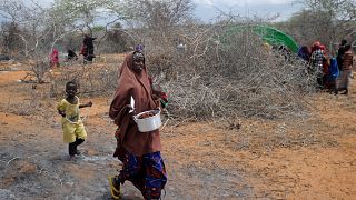 UN: Somalia drought causing catastrophic emergency