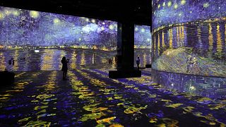 Virtual Van Gogh exhibition set to lure shoppers in Dubai