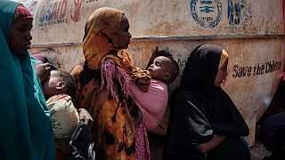 Horn of Africa: UN appeals for $7 billion humanitarian aid