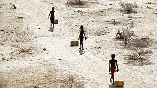 Kenya's desperate quest for rain: Divine intervention needed amidst devastating drought