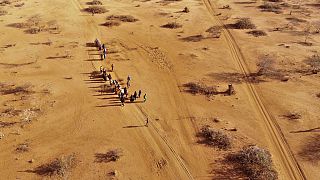 43,000 estimated dead in Somalia drought last year - Report