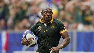 Rugby World Cup 2023: South Africa stuns Romania
